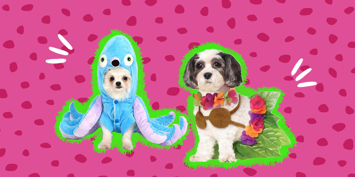  Mogoko Funny Dog Cat Shark Costumes, Pet Halloween