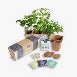 Urban Leaf Garden Trio Grow Kit
