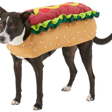 FRISCO Hotdog Dog & Cat Costume