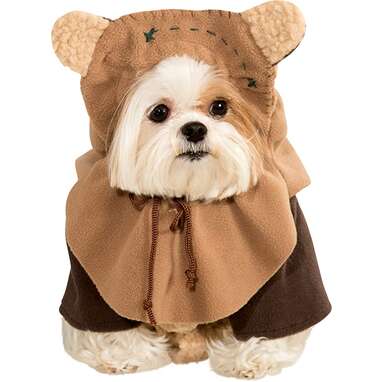 Dog costume for baby hotsell