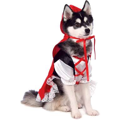 Husky hotsell baby costume