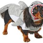 Cue the theme song from “Jaws”: Frisco Shark Attack Dog & Cat Costume