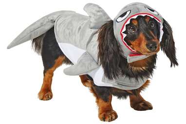 Cue the theme song from “Jaws”: Frisco Shark Attack Dog & Cat Costume