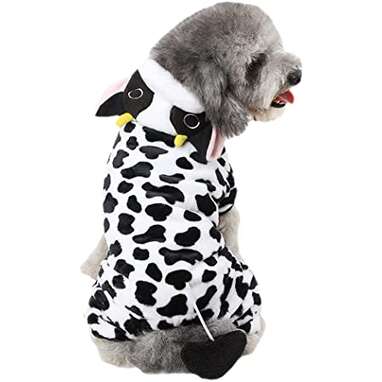 Dog Costumes: The 22 Best Options For Halloween 2022 - DodoWell