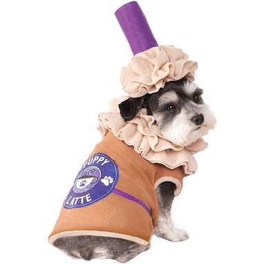 For fans of the PSL: Rubie's Puppy Latte Pet Costume
