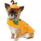 Because classic costumes are sometimes the best: Frisco Pumpkin Dog & Cat Costume,