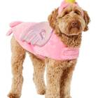 If your dog is a bird at heart: Frisco Flamingo Dog Costume