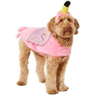 Flamingo hotsell dog dress