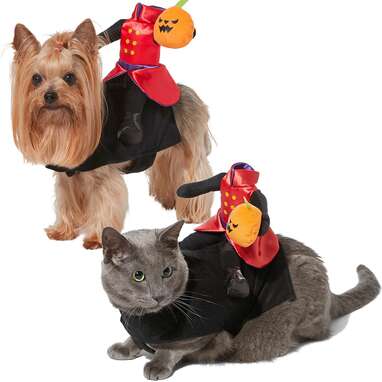 FRISCO Headless Rider Dog & Cat Costume