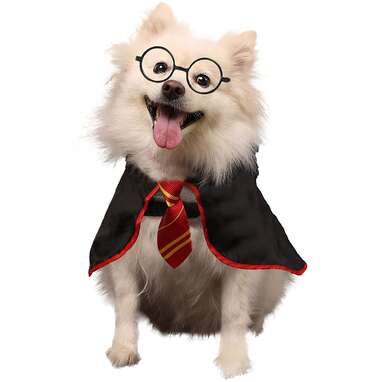 For the dog who just got his letter from Hogwarts: Coomour Halloween Pet Wizard Dog Costume