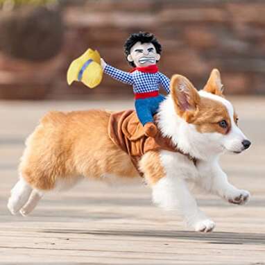 A costume that turns your dog into a bucking bronco: NACOCO Cowboy Rider Dog Costume