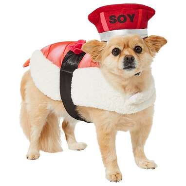 For foodie pet parents: Frisco Sushi Dog & Cat Costume