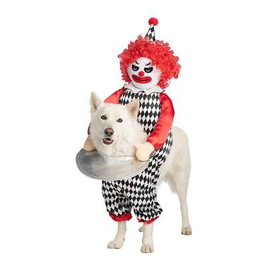 Thrills & Chills Halloween Scary Clown Dog & Cat Costume
