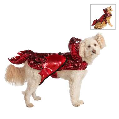 Thrills & Chills Halloween Dragon Dog & Cat Costume