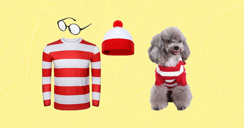 28 Best Matching Dog and Owner Halloween Costumes