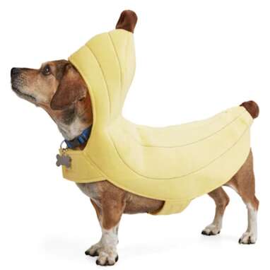 For the dog who is always going bananas: Bootique Banana Split Pet Costume