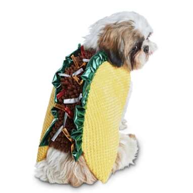 Bootique Tasty Taco Pet Costume