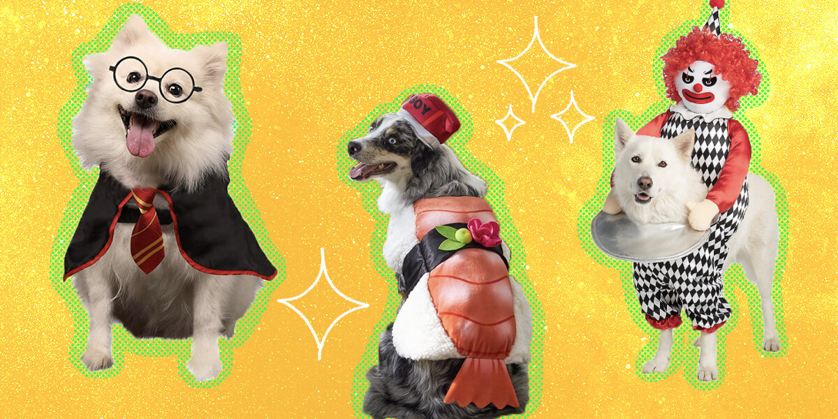Halloween Costume Ideas for Dogs
