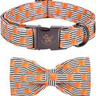 This bow collar for pumpkin lovers: Elegant little tail Dog Collar with Bow