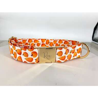 This custom collar that’s as festive as it is fancy: Pumpkin Dog Collar Personalized