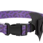 This collar that will drive you batty: Frisco Purple Bat Wing Dog Collar with Wings
