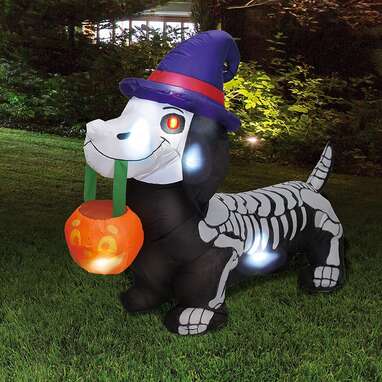 A wiener dog skeleton blowup: Joiedomi 5 FT Long Halloween Inflatable Skeleton Wiener Dog