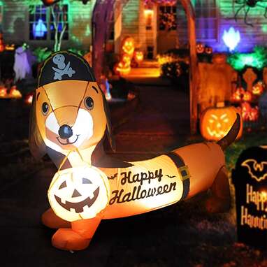 A pirate hat-wearing dachshund: GOOSH 5 FT Halloween Inflatable Outdoor Dog with a Pumpkin & Pirate Hat