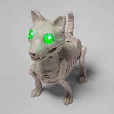 A dog skeleton that moves and speaks: Animated Light and Sound Dog Skeleton Halloween Decorative Prop