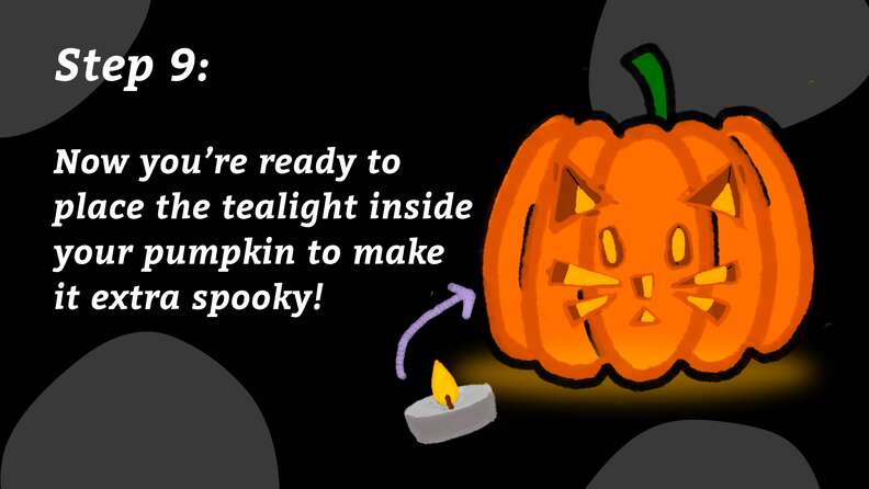Cute Animal Jack-O'-Lanterns The Whole Family Can Make - The Dodo Cute Animal Jack-O'-Lanterns The Whole Family Can Make - The Dodo