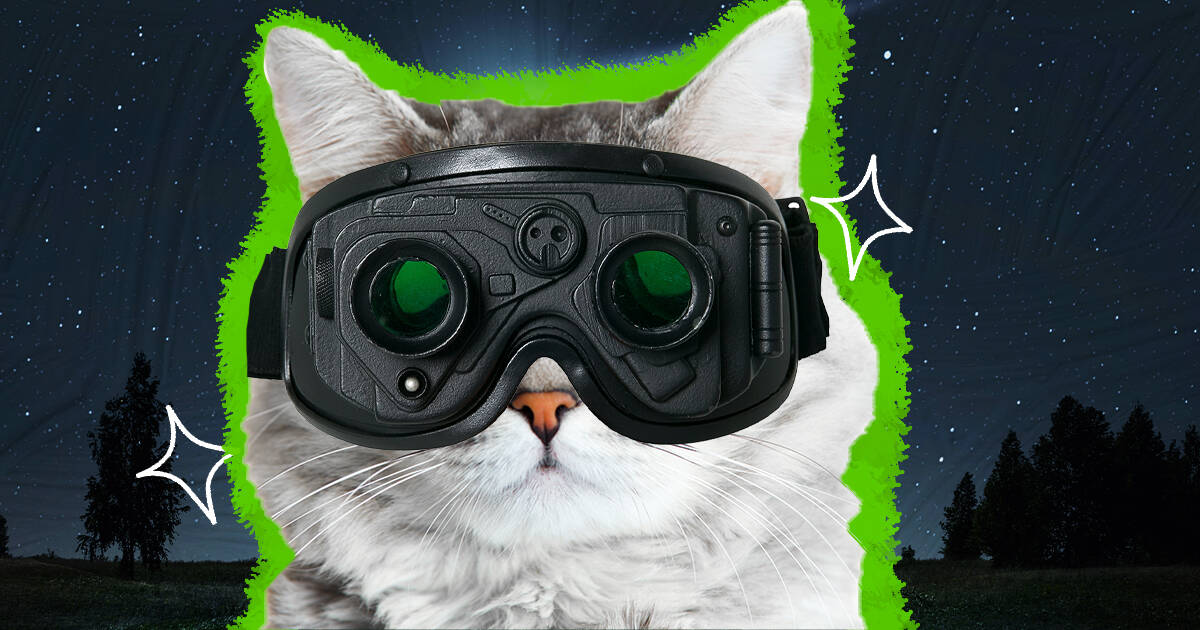 cat night vision goggles