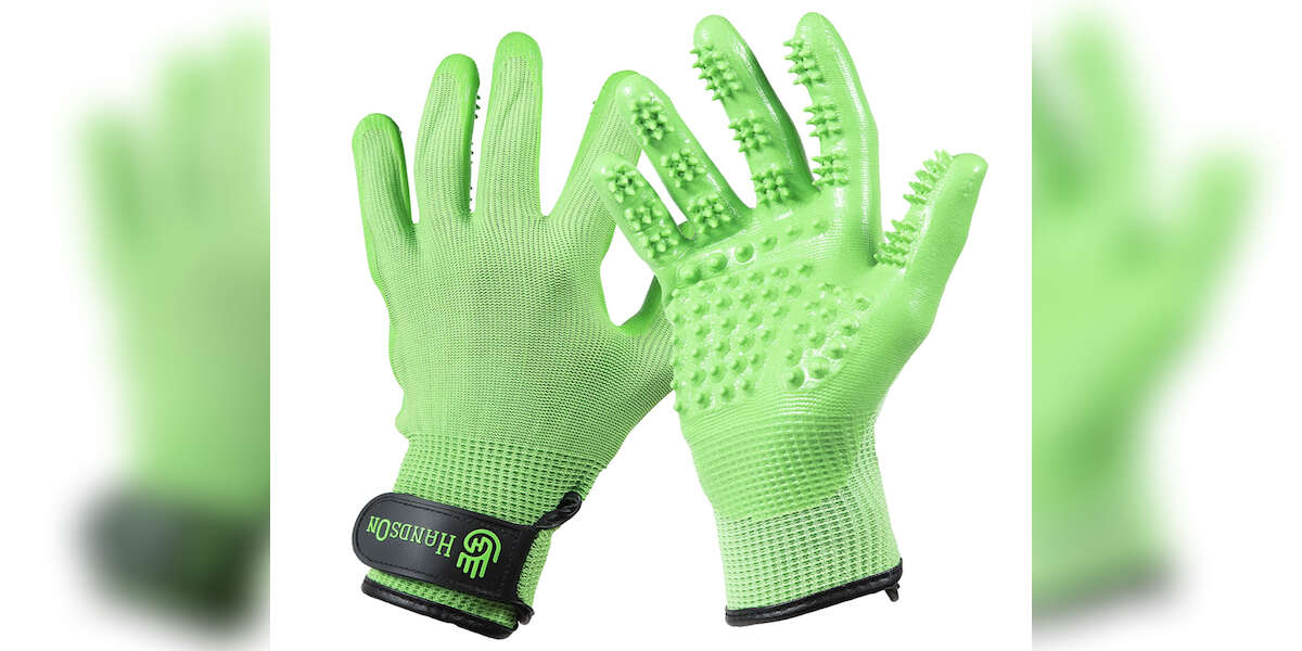 The 6 Best Dog Bath Brushes On Amazon DodoWell The Dodo