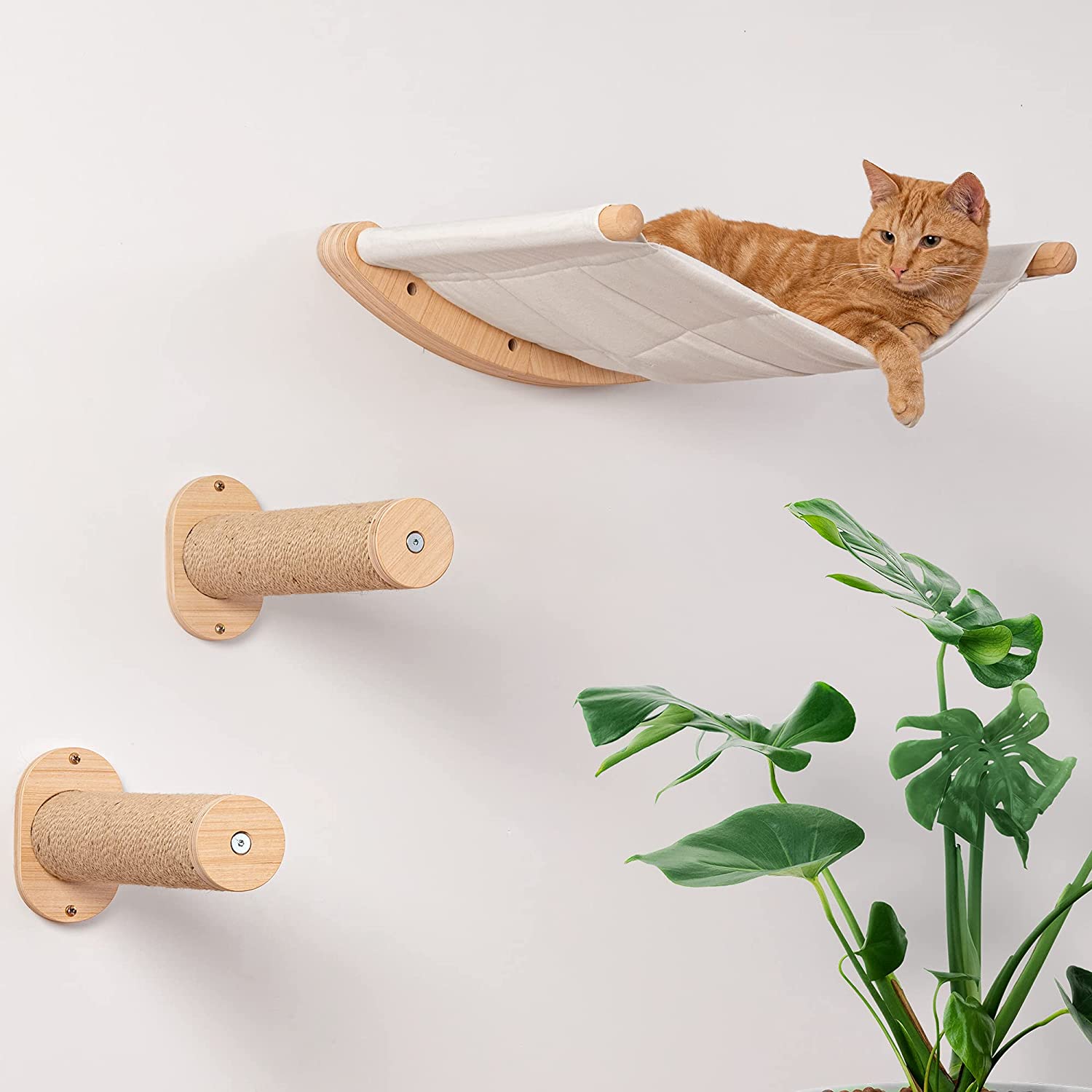 Best cat wall shelves sale