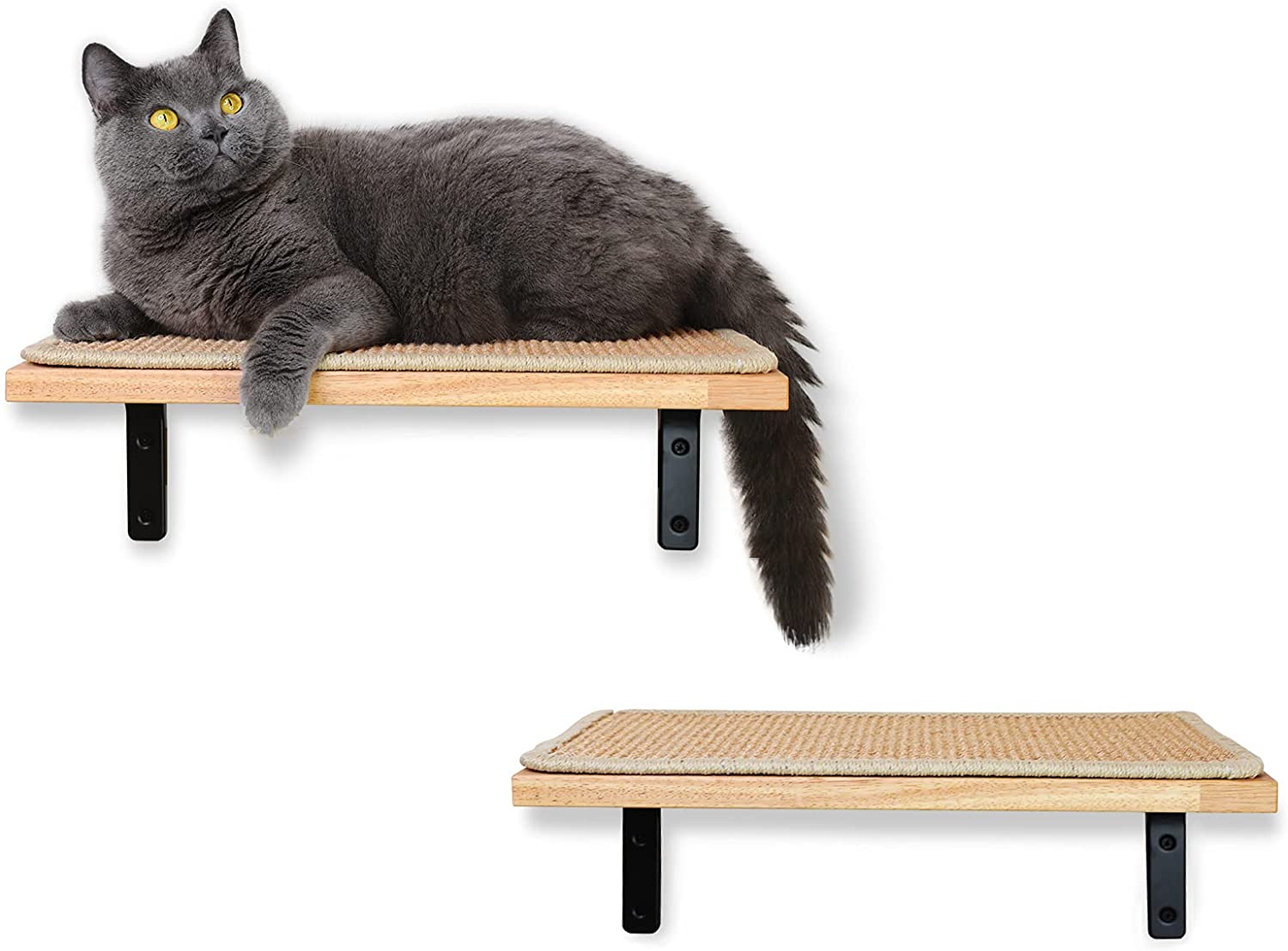 Best cat wall shelves sale