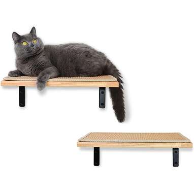 7 Best Cat Shelves On Dodowell, Cat Wall Shelves Set