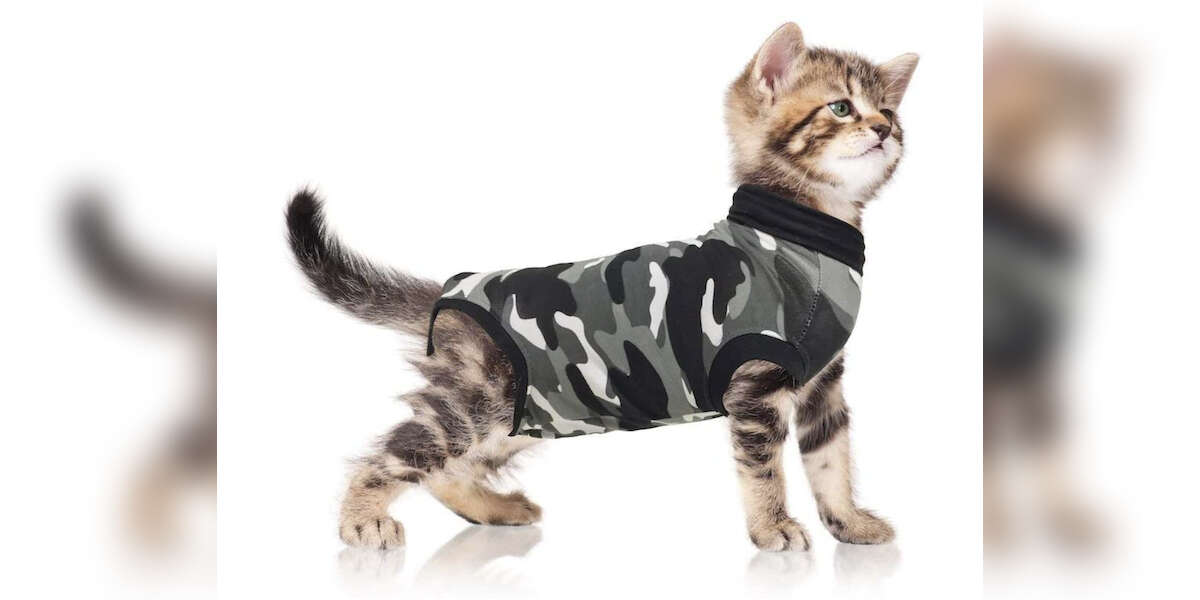 Surgical Neuter Spay Kitten Recovery Shirt E-Collar Bandages Alternative Non-Lick Pet Body Suit for Cats Dogs for Abdominal Wounds Skin Diseases MORVIGIVE Cat Recovery Suit After Surgery Wear 
