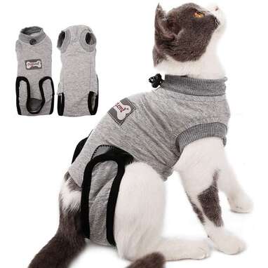 DogLemi Cat Recovery Suit