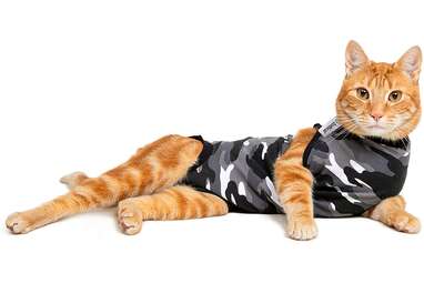 Suitical Recovery Suit for Cats