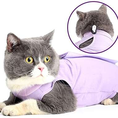 Cat jacket after outlet surgery