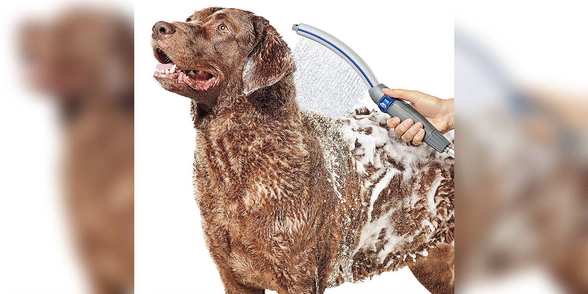 Aquapaw Dog Bath Brush - Sprayer And Scrubber : Target