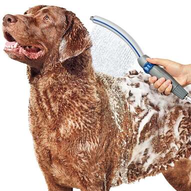 Dog store washing tools