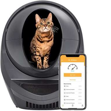 litter robot amazon