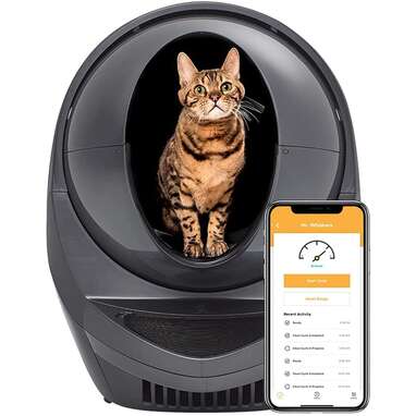 5 Best Self Cleaning Litter Boxes On Amazon DodoWell The Dodo