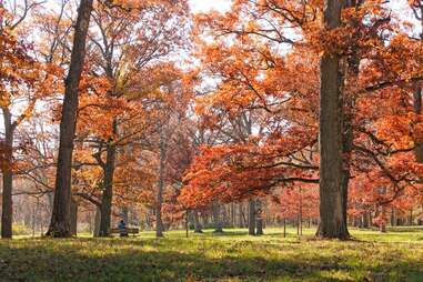 The Morton Arboretum