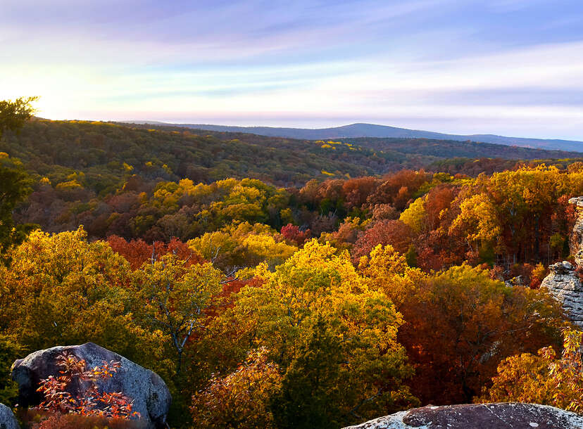 Best Places to See Fall Foliage Near Chicago: Scenic Places to Drive -  Thrillist