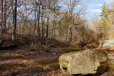 Fall Creek Gorge Nature Conservancy