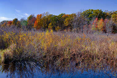 Indiana Funes National Park