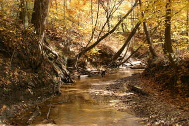 warren dunes creek