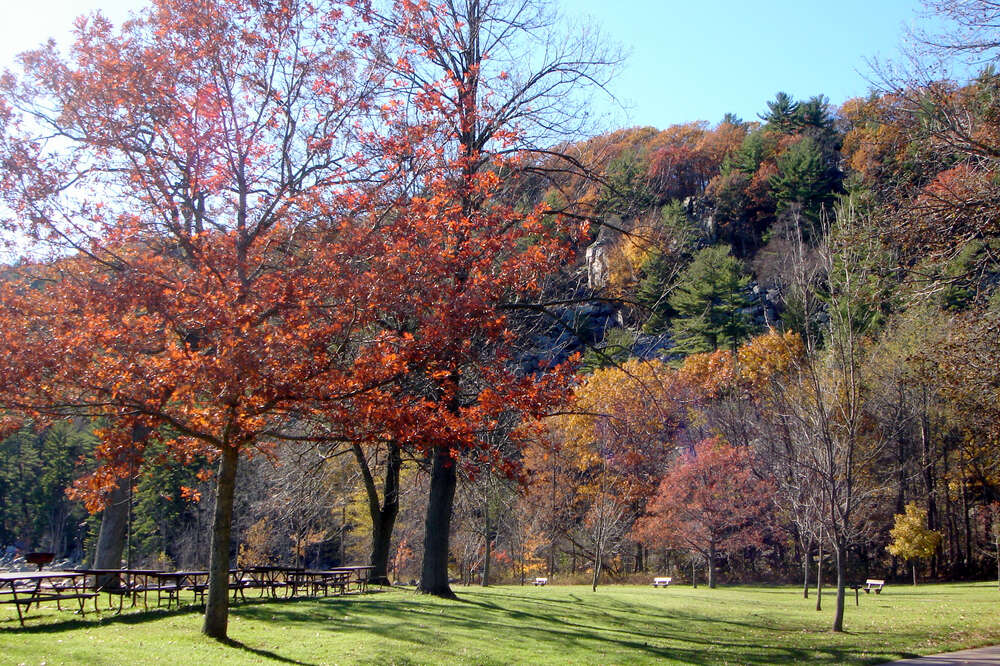 Best Places to See Fall Foliage Near Chicago: Scenic Places to Drive -  Thrillist
