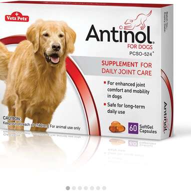 should dogs take joint supplements