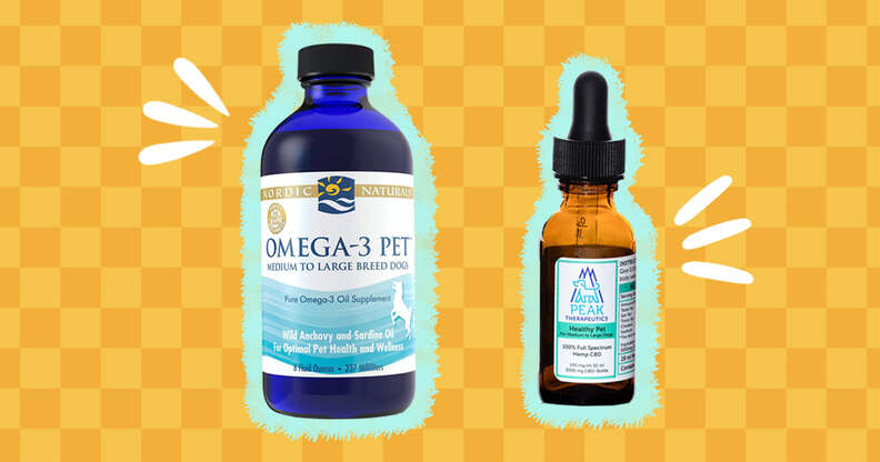 Best oil supplement outlet for dogs